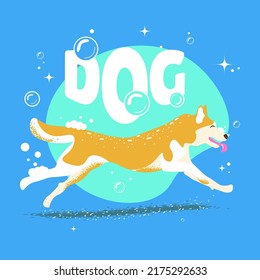 A Cute, Joyful And Clean Dog Running After A Spa Salon To Meet His Owner. Actual Vector Illustration For Banners And Posts, Character For Kids