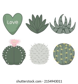 Cute and juicy hand drawn cactus set in vintage sketch style. Various green house cacti collection in flat design. Editable vector illustration on white background. 