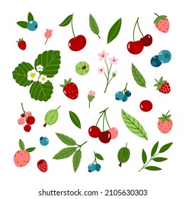 Bayas de jardín de verano jugosas en conjunto de vectores de dibujos animados. Ilustración brillante con fresas, frambuesas, arándanos, arándanos, arándanos, flores y hojas aisladas en fondo blanco