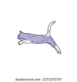 Cute jumping cat on white background