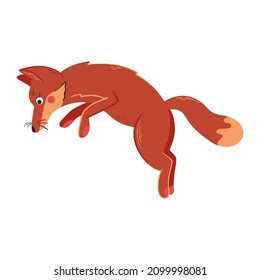 Cute jumping fox vector illustration. Forest wild animal 