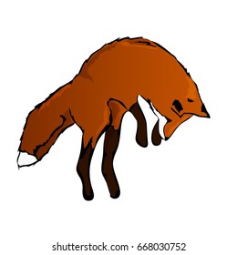 Cute jumping fox. Vector illustration