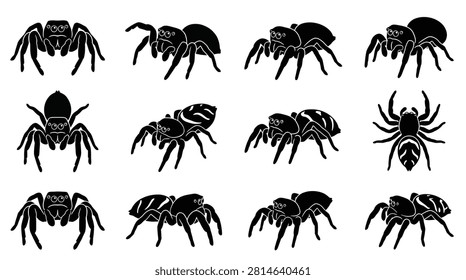 Cute jumping spider silhouette vector set collection of black spider icons in different poses, front, side, and top views salticidae arachnid character design elements