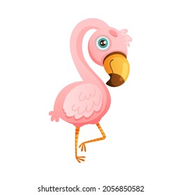 Cute jungle pink flamingo bird cartoon vector illustration on white background