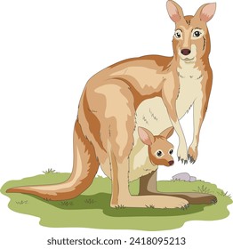 Cute kangaroo with baby in its pouch