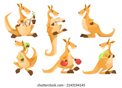 Cute kangaroo cartoon character vector illustrations set. Collection of cliparts with comic animal with pouch from Australia in different poses isolated on white background. Wildlife concept