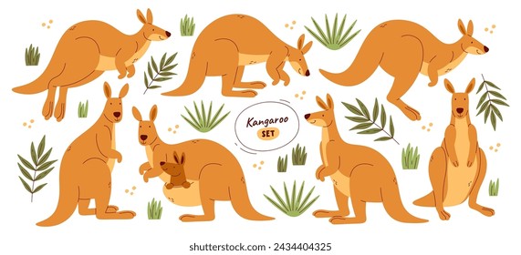 Cute kangaroo cartoon characters in different poses jumping, eating, playing, holding baby in bag set isolated on white. Happy Australian animal daily activity and relax time vector illustration