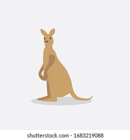 cute kangaroo in flat style on white background