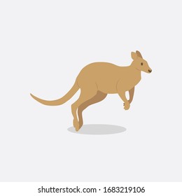 cute kangaroo in flat style on white background