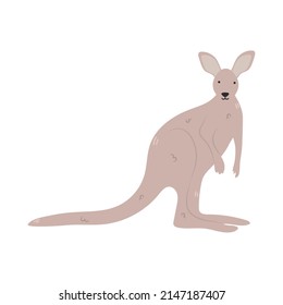 cute kangaroo icon on white background