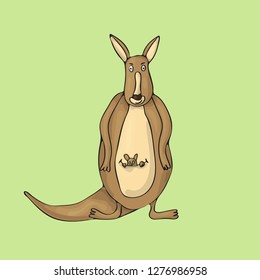 Cute kangaroo illustrated vector cartoon character. Isolated on green background.