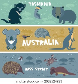 Cute Kangaroo Koala Echidna Cockatoo Parrot Platypus Krabbe Wombat, Kinder Hintergrund australische Tiere, Australien Tasmania Bass Bass grau braunes Gold beige blaue Marine horizontalen Banner. Vektorgrafik