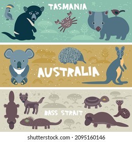 Cute Kangaroo Koala Echidna Cockatoo Parrot Platypus Crab Wombat Snake, kids background Australian animals, Australia Tasmania Bass strait gray brown gold beige blue horizontal card banner. Vector