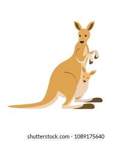 Cute kangaroo on white background. Vector illustration.