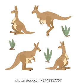 Cute kangaroo set. Australian animal character collection. Vector illustration of kangaroos in different poses