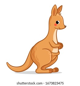 Cute kangaroo stands on a white background. Vector illustration with australian animal in cartoon style.