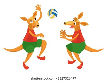 Cute kangaroos playing volleyball.  Sports for children. Volleyball cartoon characters. Vector isolated illustration on white background. 