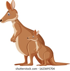 Cute kangaroos standing on white background illustration