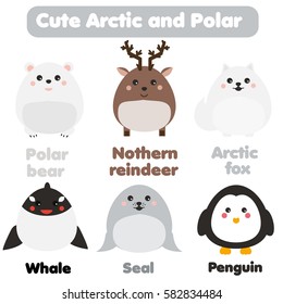 Cute kawaii arctic and polar animals set. Reindeer, seal, whale, penguin in children style, vector illustration. Stickers, educational illustrations, isolated design elements for kids books