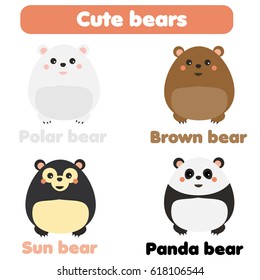 Cute kawaii bears. Polar, brown, sun and panda bear set in children style, vector illustration. Stickers, educational illustrations, isolated design elements for kids books