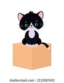 Cute Kawaii Black Cat Sitting On Box On White Background. Cartoon Flat Style. Vector Illustration