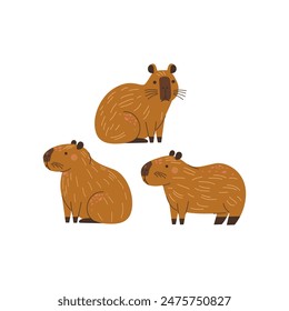 cute kawaii capybara collection set