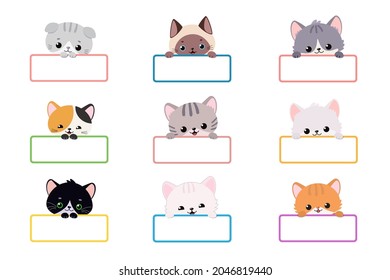 Los gatos kawaii aguantan una tarjeta en blanco aislados en fondo blanco. Ilustración vectorial. Estilo plano de la caricatura