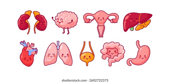 Cute kawaii characters representing internal organs like kidneys, brain, uterus, liver, heart, lungs, bladder, intestines, and stomach, each with friendly faces and vibrant colors, anatomy.