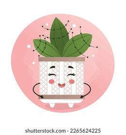 cute kawaii houseplant, kawaii cacti, a cactus in a pot, houseplant, home garden, gardening, plant lover, houseplant shop concept, greenhouse
