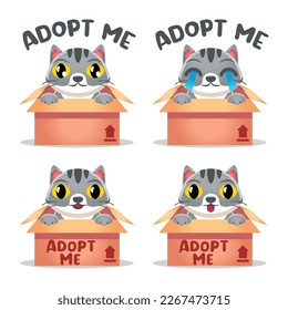 Cute Kawaii kitten cat adoption Mascot Cartoon Design Illustration Character vector art isolated on white background.