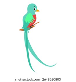Cute kawaii quetzal bird – cartoon animal vector illustration for kids