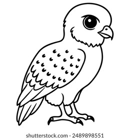 A cute kestrel chick with big, curious eyes stands sweetly, captured in a charming outline style perfect for young artists. Its detailed feathers and delicate features are drawn in bold, clean lines