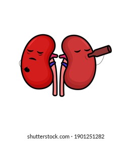 Cute kidney organ mascot design