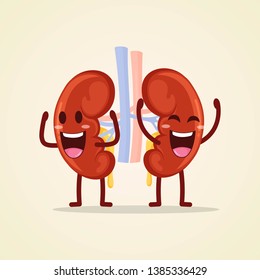 Cute kidneys human internal organ. Happy, fun and healthy character vector illustration