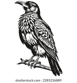 Cute kids hand drawn nursery poster with Raven animal corbie
