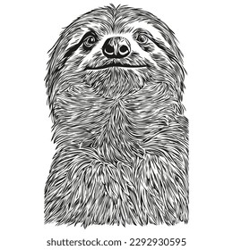 Cute kids hand drawn nursery poster with Sloth animal Sloths
