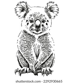 Cute kids hand drawn nursery poster with Koala animal koala bear
