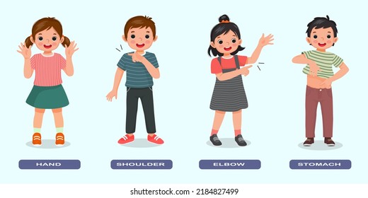 cute kids showing by pointing different body parts of human anatomy such as hand, shoulder, elbow, stomach