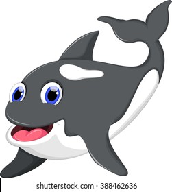 Cute killer whale cartoon