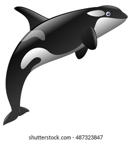 Cute killer whale cartoon