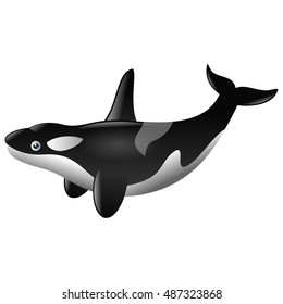 Cute killer whale cartoon