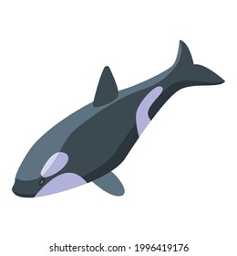 Cute killer whale icon. Isometric of Cute killer whale vector icon for web design isolated on white background