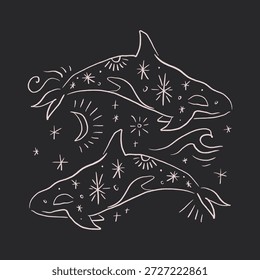 Baleia assassina bonita isolada no fundo ornamentada baleia celeste. Silhueta desenhada à mão orcinus orca impressão logotipo de salto. Animação plana submarino personagem animal marinho. Habitante do oceano