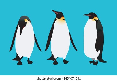 Cute king penguin vector illustration 