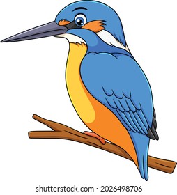 Cute Kingfisher Bird Cartoon Vector Illustration