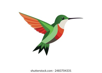 Cute kingfisher bird vector illustration and artwork