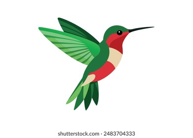 Cute kingfisher bird vector illustration and artwork