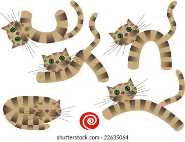 Cute kitten