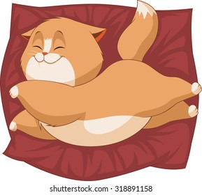 Cute kitten