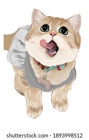 A cute kitten in adorable dress funny face cat vector art